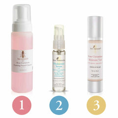 3 - Step Skincare System for Normal Skin – Gentle Cleanse, Hydrate, and Lock in Moisture | Includes Rose Geranium Cleanser, Hyaluronic Serum & Moisture Veil for Healthy, Radiant Skin - Bee Naturals