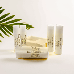 BN Lip Balms – Beeswax Base with Natural Oils, Cocoa Butter, and Vitamin E for Hydration & Healing, Multiple Flavors - Bee Naturals